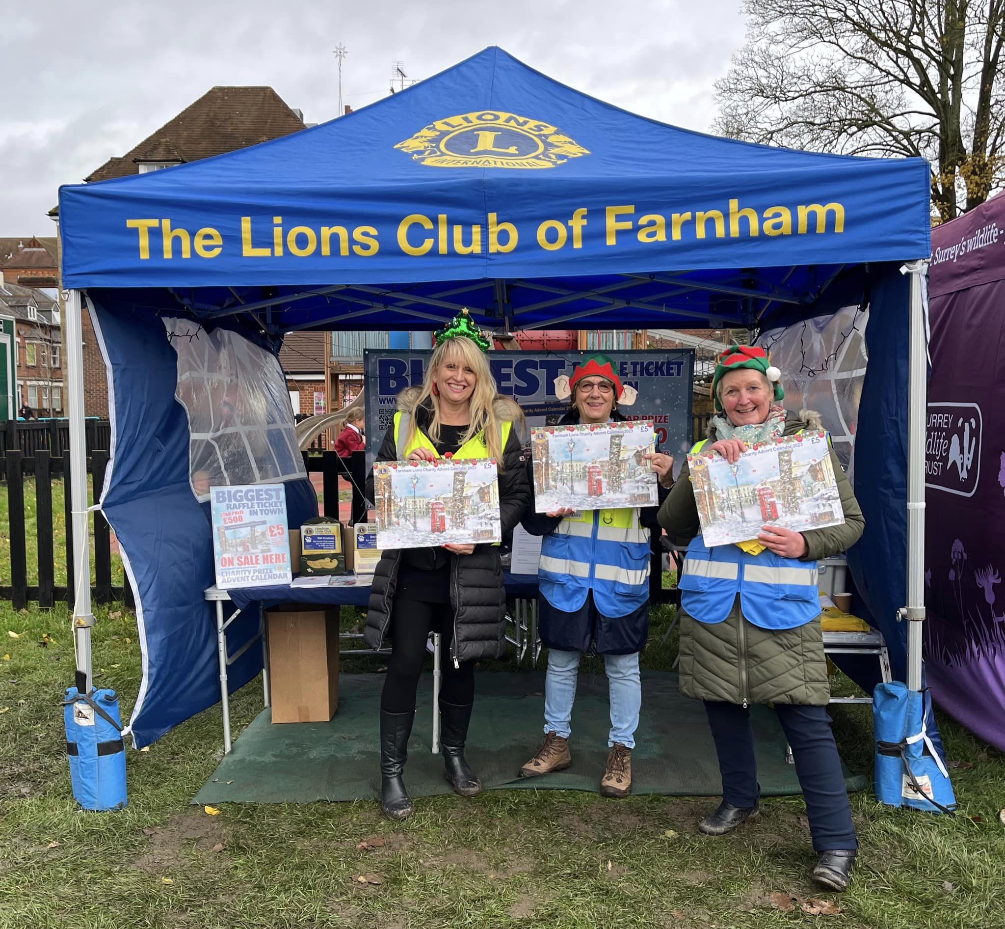 Christmas Lights Farnham Lions